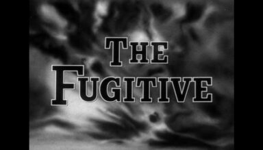 The Fugitive 480p 4 Seasons and 120 episodes