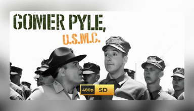 Gomer Pyle U.S.M.C. (1964) – Complete Series