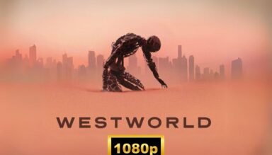 Westworld 4 seasons 36 episodes 2016-2022 complete series (1080p)