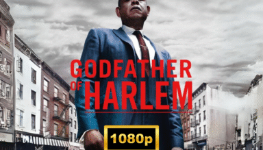 Godfather of Harlem 3 seasons 30 episodes 2019 complete serie (1080p)