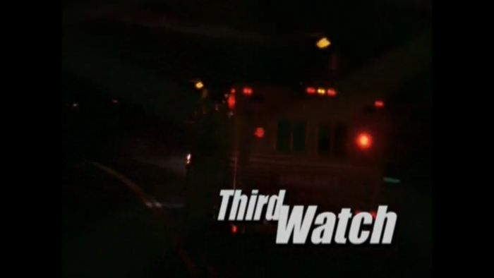 Third Watch (1999) 6 seasons - Imagen 2