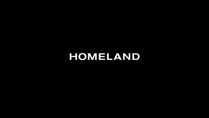Homeland (2011) 8 seasons - Imagen 2