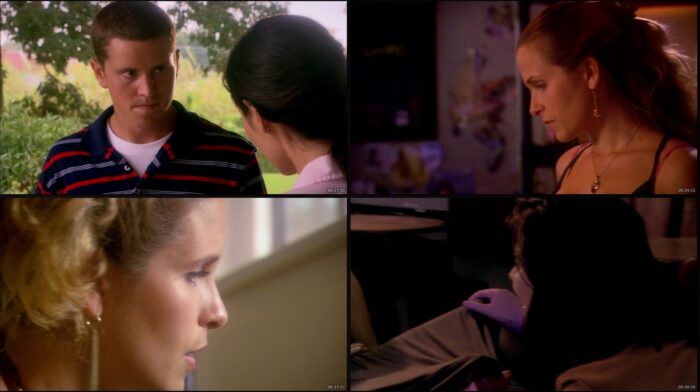 🎬 Army Wives (2007) 7 seasons - Imagen 5