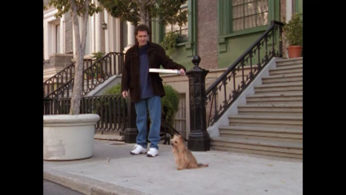 The Norm Show (1999) 3 seasons - Imagen 2