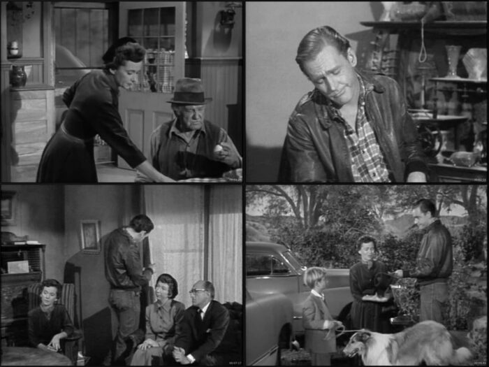 🎬Lassie – The Complete Collection (1943–2005) - Imagen 2