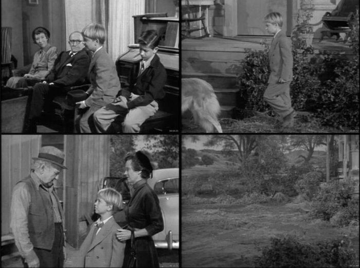 🎬Lassie – The Complete Collection (1943–2005) - Imagen 3