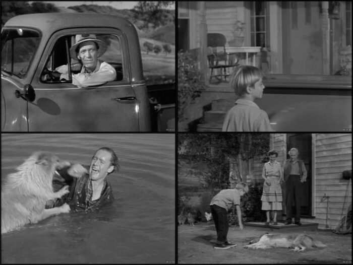 🎬Lassie – The Complete Collection (1943–2005) - Imagen 5