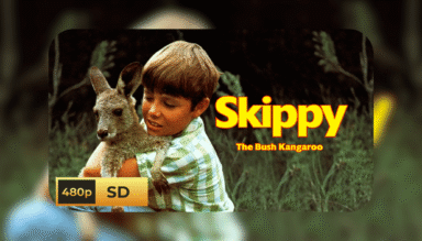 Skippy the Bush Kangaroo