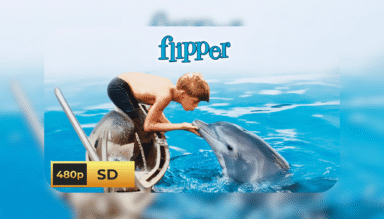 Flipper