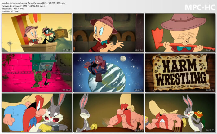 Looney Tunes Cartoons (2020)
