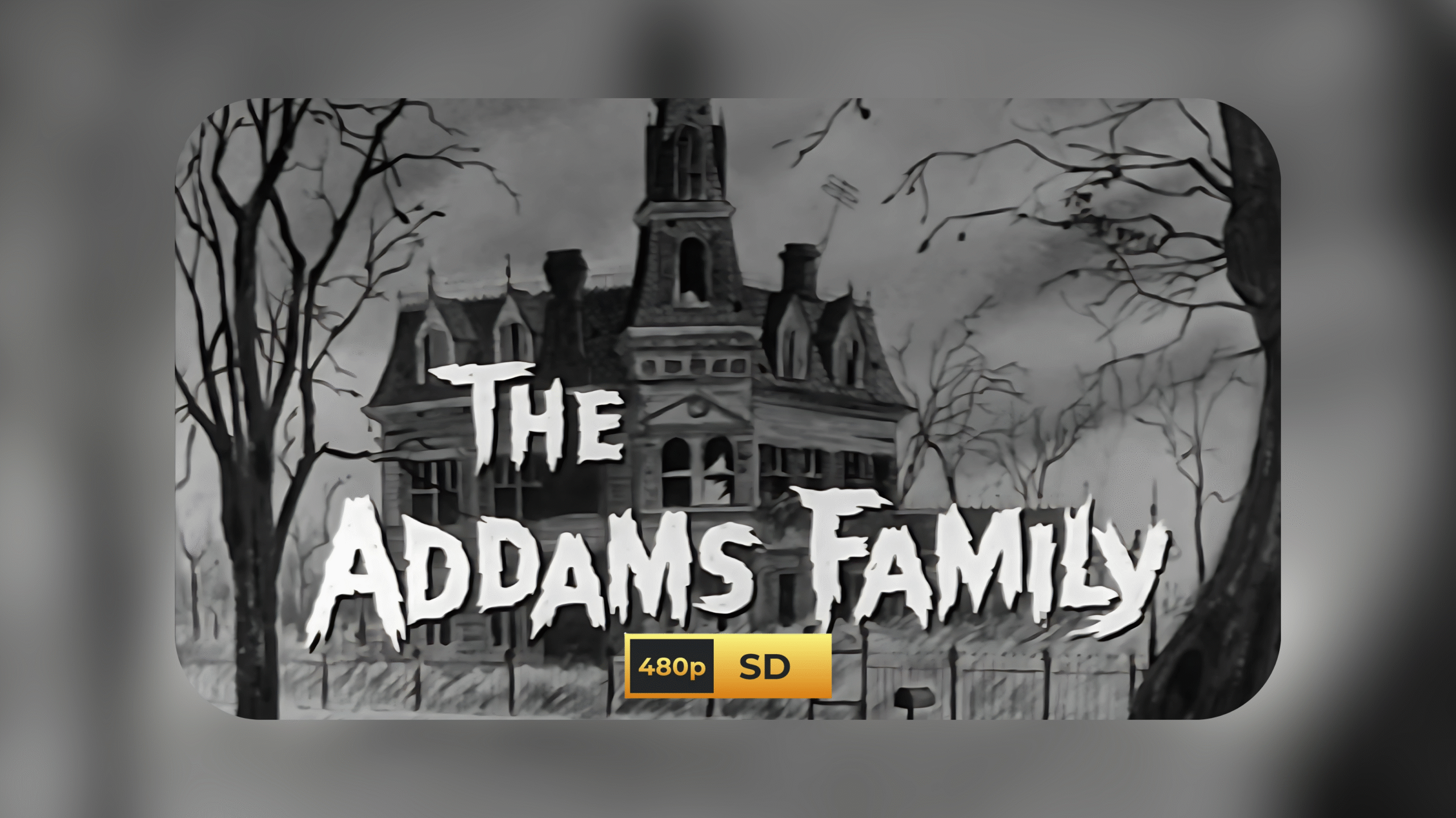 🎬 The Addams Family (1964) – Complete Series